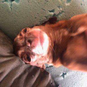 Meet your Posher, Johnathan